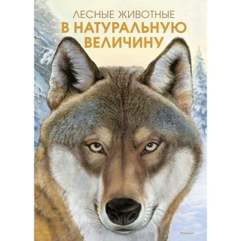 Махаон Книга Лесные жители в натуральную величину