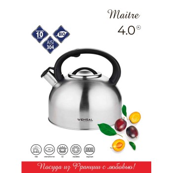 Vensal Чайник Maitre 4.0 л VS3003