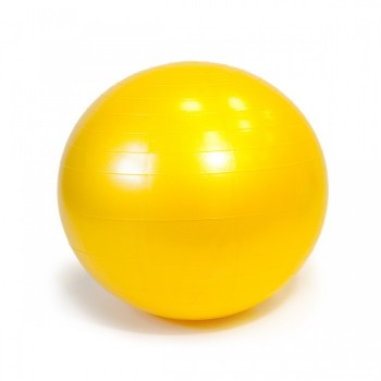 Gymnic Plus Мяч гимнастический Фитбол 65 см
