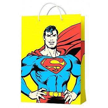 Пакет подарочный малый Superman №2, 18x22,7x10см