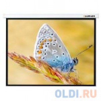 [LMC-100105] Экран с электроприводом Lumien Master Control 244x244 см Matte White FiberGlass черн. кайма по периметру