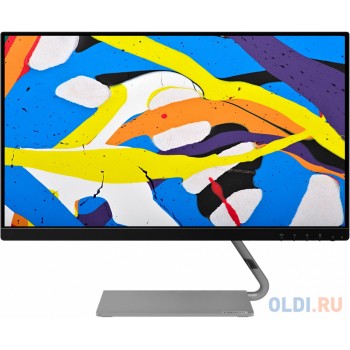 Монитор Lenovo 23.8" Q24i-1L темно-серый IPS LED 4ms 16:9 HDMI M/M 250cd 178гр/178гр 1920x1080 D-Sub FHD 4.5кг