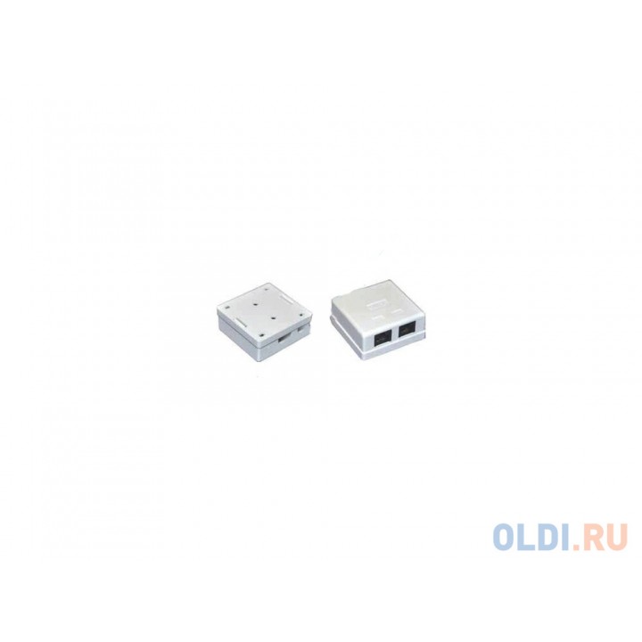 Розетка ITK для RJ45 UTP кат.5е 2 выхода белый CS2-1C5EU-22