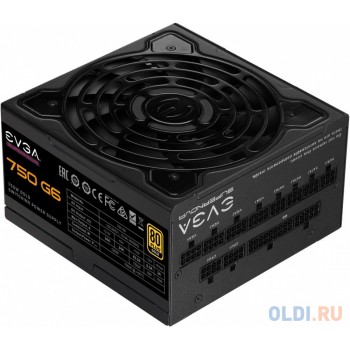 G6 750 220-G6-0750-X2 , 750W, 80 Plus Gold, полностью модульный {5} (439321)