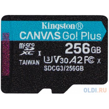 Карта памяти microSDXC Canvas Go Plus, 256 Гб, UHS-I, U3, V30, A2, без адаптера