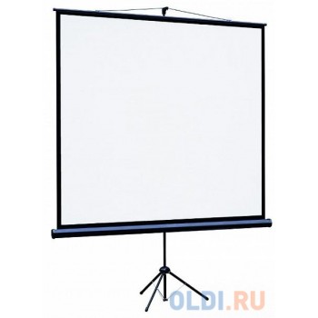 Экран переносной на штативе Lumien Eco View 128 x 171 см LEV-100110