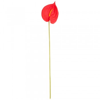 Цветок Glendower (51 см)