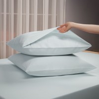 Наволочка Сакенди (70х70 (2 шт))