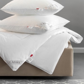 Одеяло Клауд Софт (172х205 см)