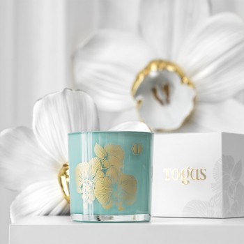 Свеча Абрикос и анис (330 г)