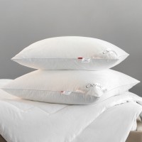 Подушка Клауд Софт (70х70 (1 шт))