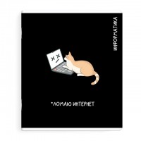 тетрадь Информатика 48 л А5+ 60 г/кв.м клетка мягкий переплёт скоба