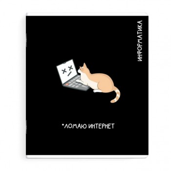 тетрадь Информатика 48 л А5+ 60 г/кв.м клетка мягкий переплёт скоба