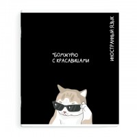 тетрадь Иностранный язык 48 л А5+ 60 г/кв.м клетка мягкий переплёт скоба