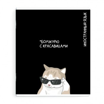 тетрадь Иностранный язык 48 л А5+ 60 г/кв.м клетка мягкий переплёт скоба