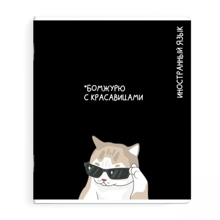 тетрадь Иностранный язык 48 л А5+ 60 г/кв.м клетка мягкий переплёт скоба