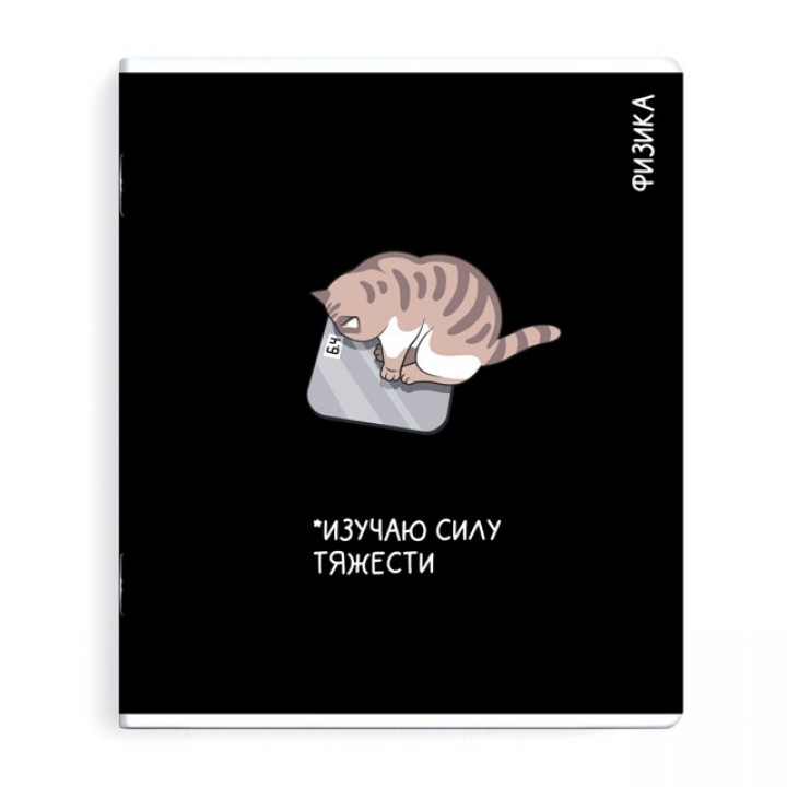 тетрадь Физика 48 л А5+ 60 г/кв.м клетка мягкий переплёт скоба