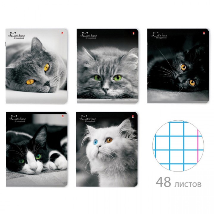 тетрадь АЛЬТ Кошки Яркий Взгляд А5 48л клетка глянцевый лак микс дизайна