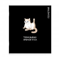 тетрадь Геометрия 48 л А5+ 60 г/кв.м клетка мягкий переплёт скоба