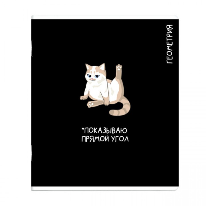 тетрадь Геометрия 48 л А5+ 60 г/кв.м клетка мягкий переплёт скоба