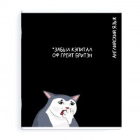 тетрадь Английский язык 48 л А5+ 60 г/кв.м клетка мягкий переплёт скоба