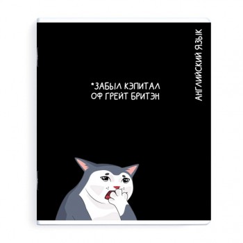 тетрадь Английский язык 48 л А5+ 60 г/кв.м клетка мягкий переплёт скоба