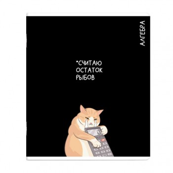 тетрадь Алгебра 48 л А5+ 60 г/кв.м клетка мягкий переплёт скоба