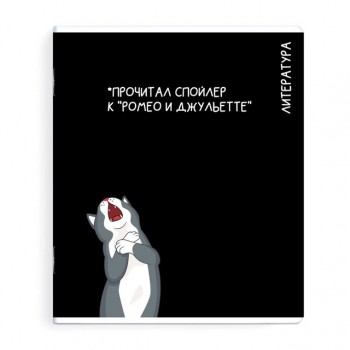 тетрадь Литература 48 л А5+ 60 г/кв.м линейка мягкий переплёт скоба