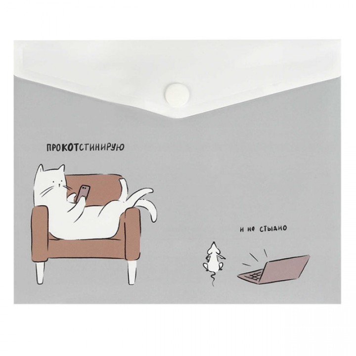 папка для документов Прокостинация А6 17х14 см 180 мкм кнопка полипропилен