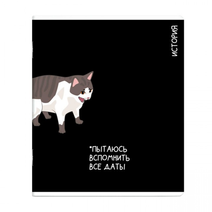 тетрадь История 48 л А5+ 60 г/кв.м клетка мягкий переплёт скоба