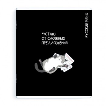 тетрадь Русский язык 48 л А5+ 60 г/кв.м линейка мягкий переплёт скоба
