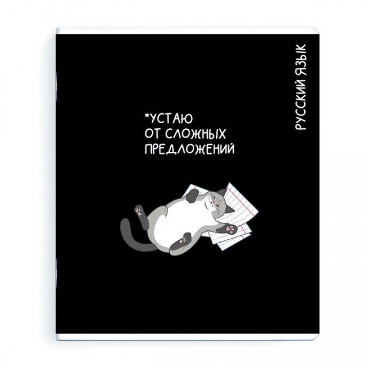 тетрадь Русский язык 48 л А5+ 60 г/кв.м линейка мягкий переплёт скоба