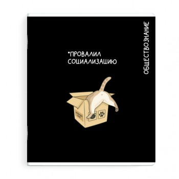 тетрадь Обществознание 48 л А5+ 60 г/кв.м клетка мягкий переплёт скоба