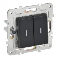 выключатель 2-клавишный IEK Skandy с/и 10А черный